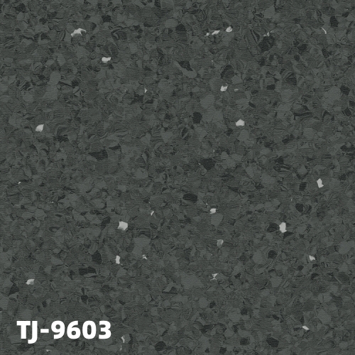 TJ-9603