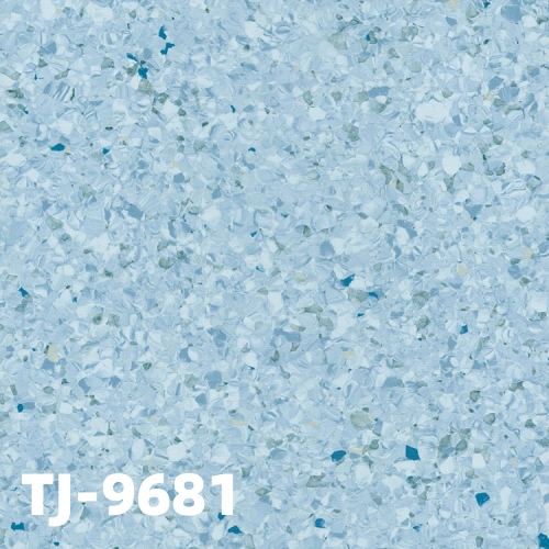 TJ-9681