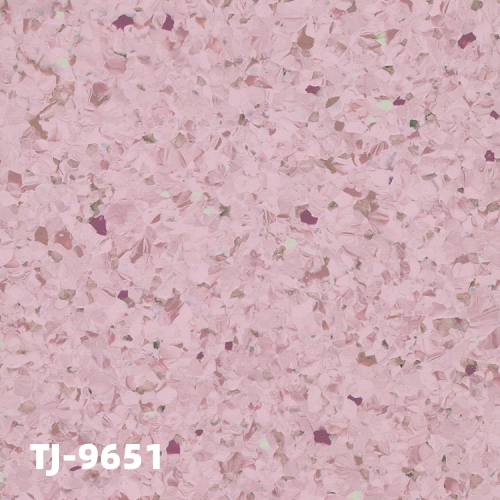 TJ-9651
