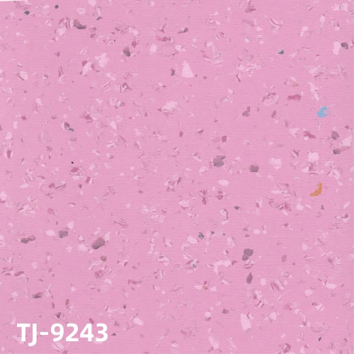 TJ-9243