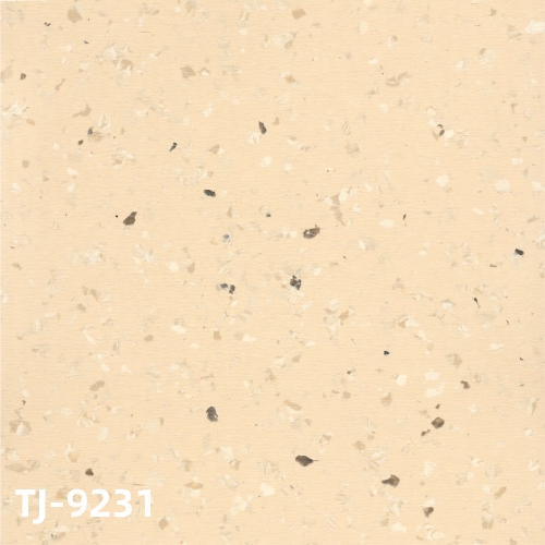 TJ-9231
