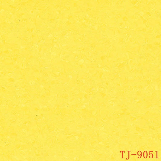 TJ-9051