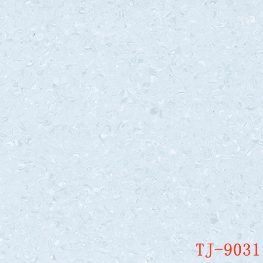 TJ-9031