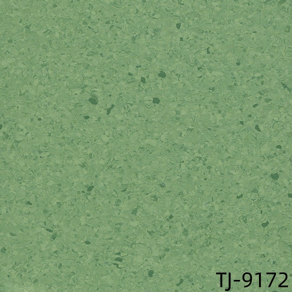 TJ-9172