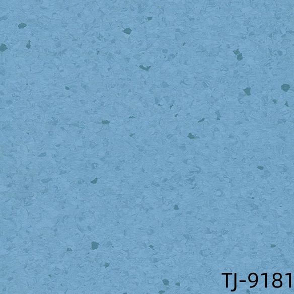TJ-9181
