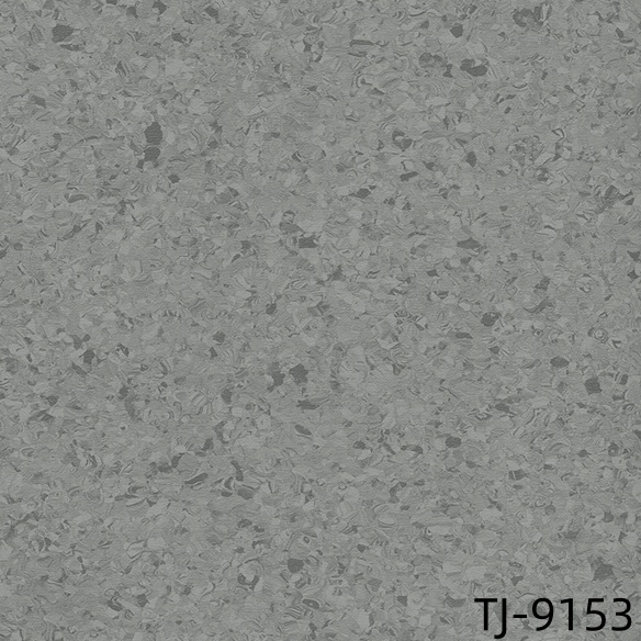 TJ-9153