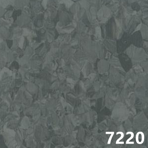 7220