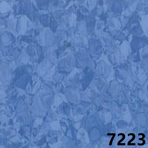 7223