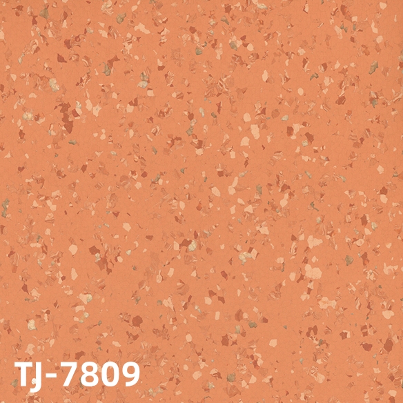 TJ-7809