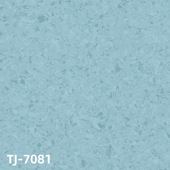 TJ-7081