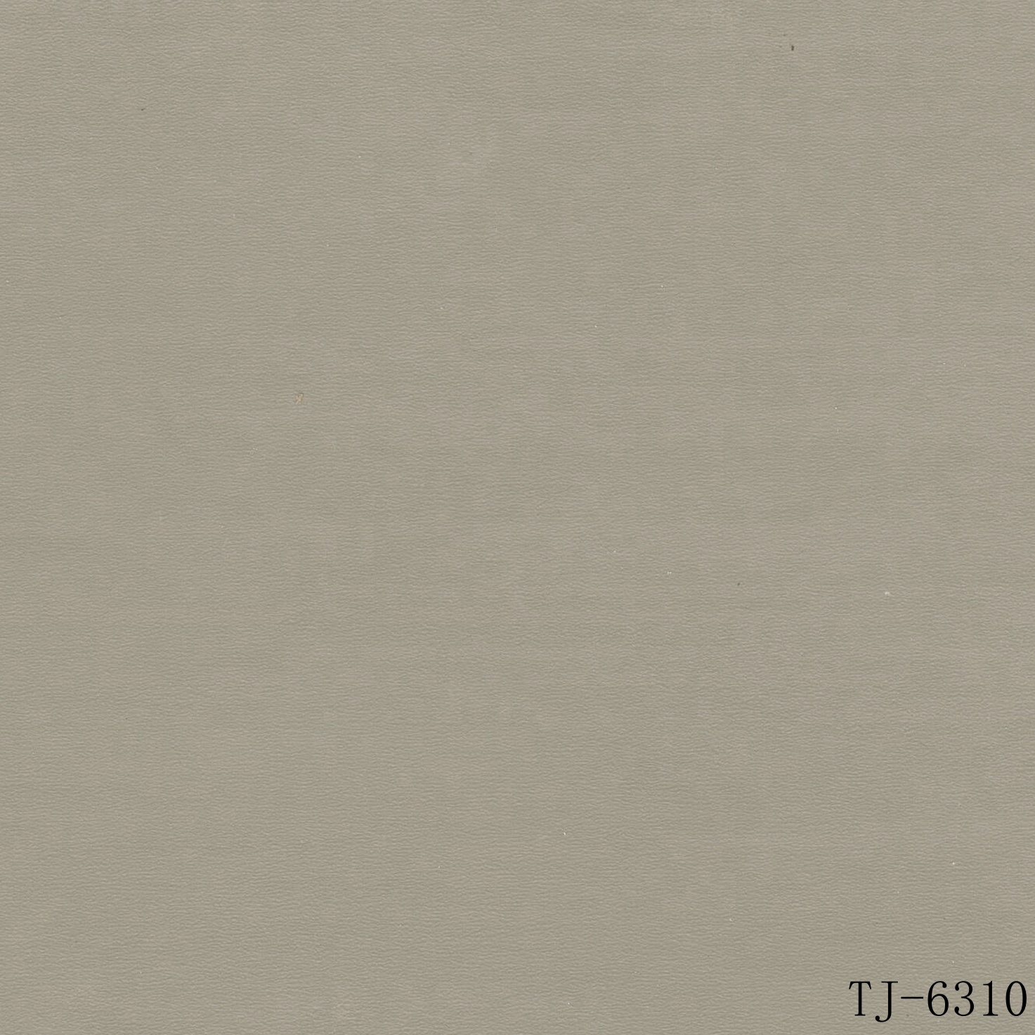 TJ-6310