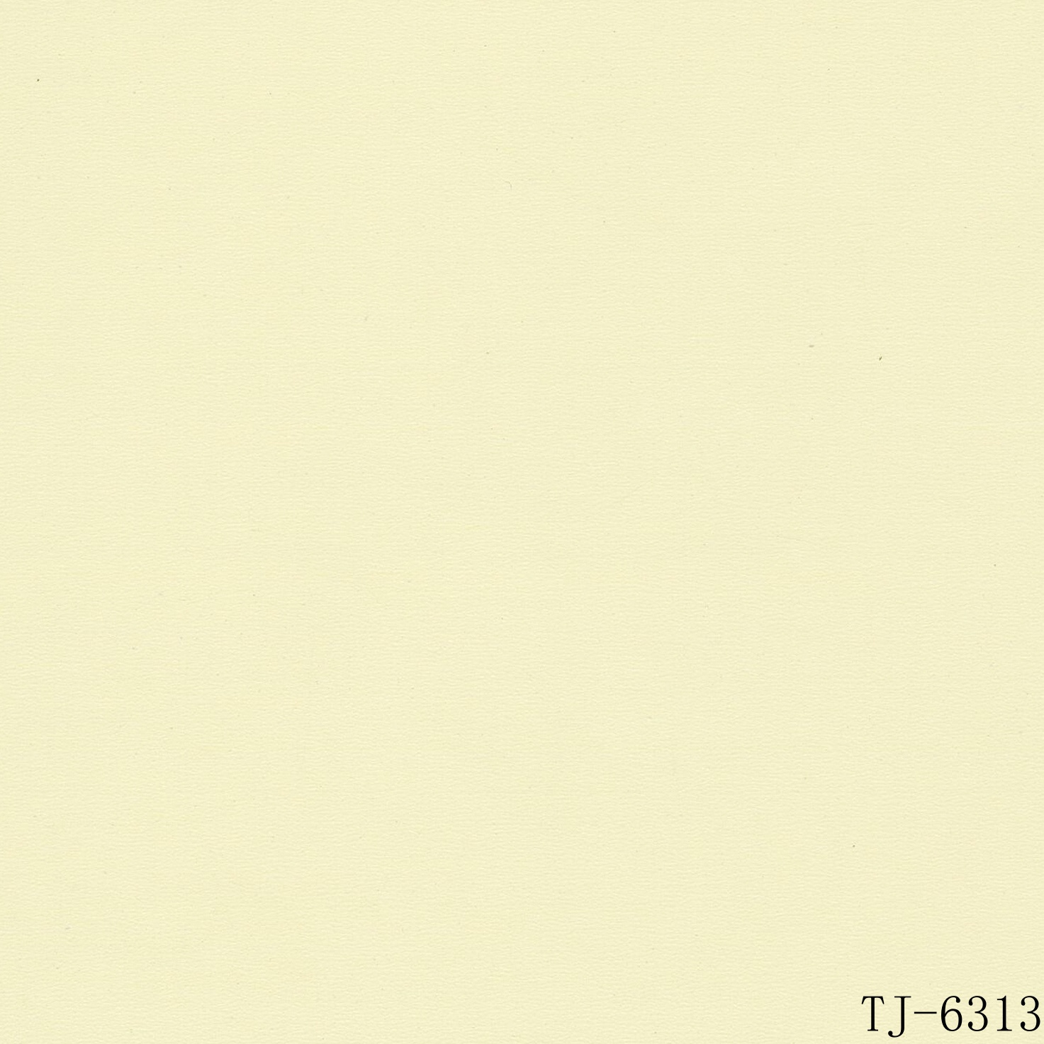 TJ-6313