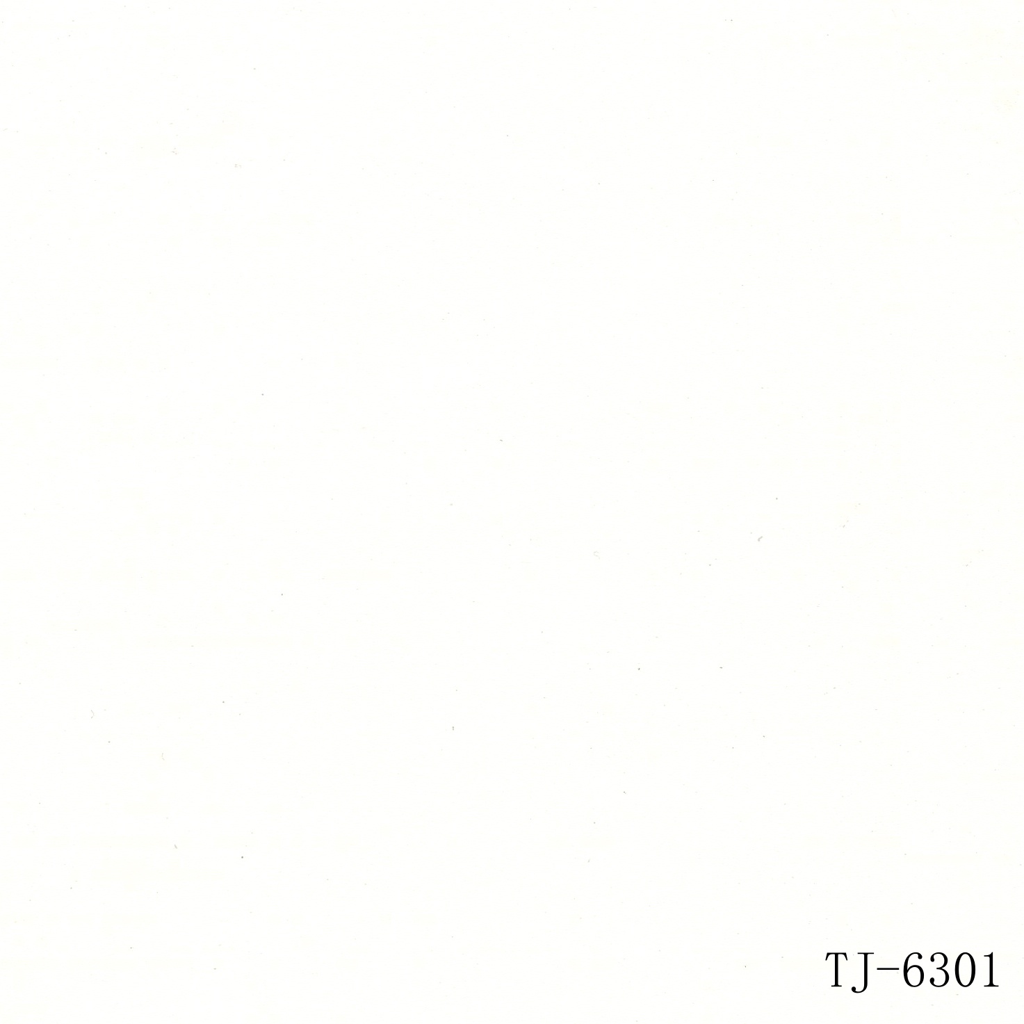 TJ-6301
