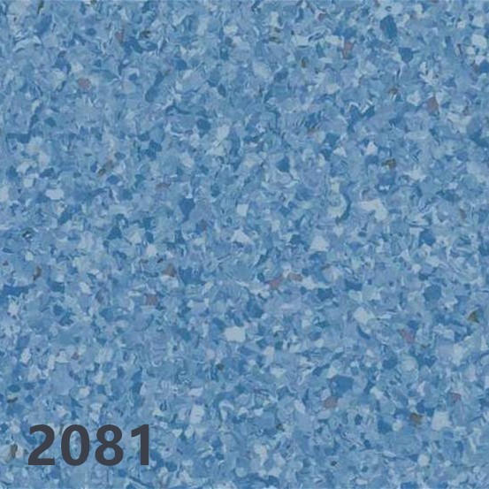 2081