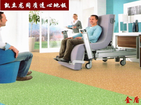 金盾系列