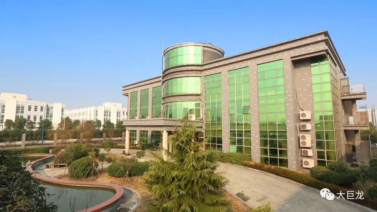 大巨龍工廠